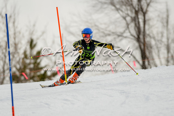 alpine-Feb19-2017-DSC_0480
