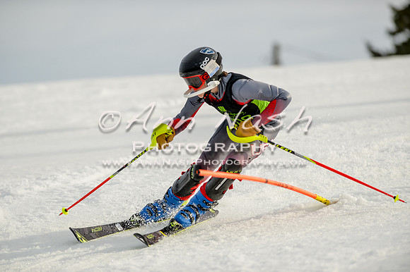 alpine-Feb19-2017-DSC_1346