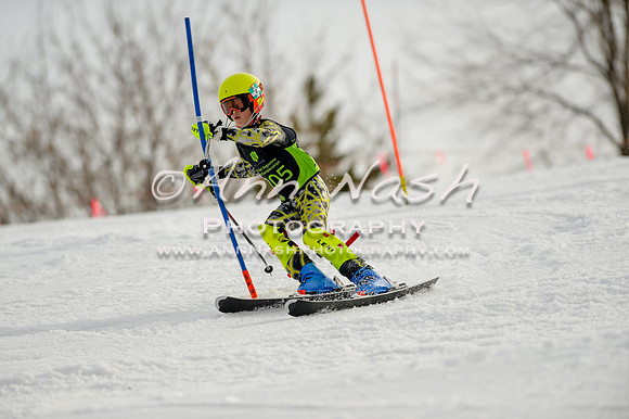 alpine-Feb19-2017-DSC_0882
