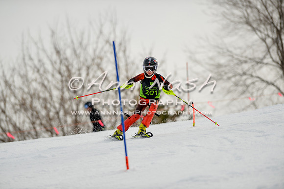 alpine-Feb19-2017-DSC_0435