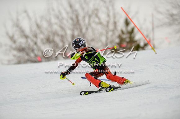 alpine-Feb19-2017-DSC_0439