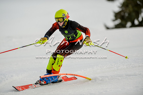 alpine-Feb19-2017-DSC_1002