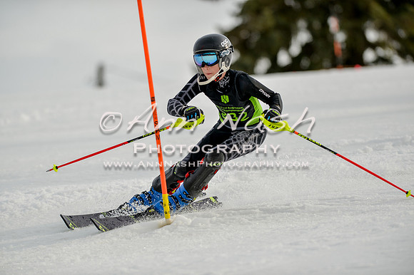 alpine-Feb19-2017-DSC_1181