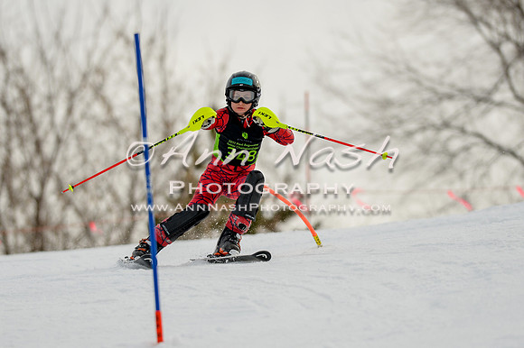 alpine-Feb19-2017-DSC_0598