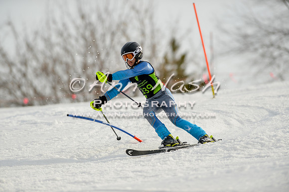 alpine-Feb19-2017-DSC_1326