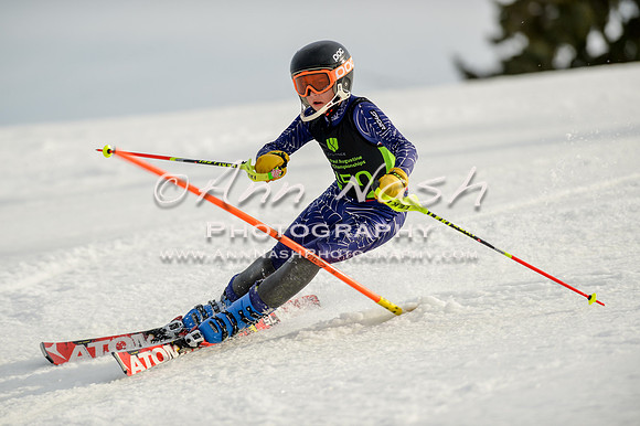 alpine-Feb19-2017-DSC_1382