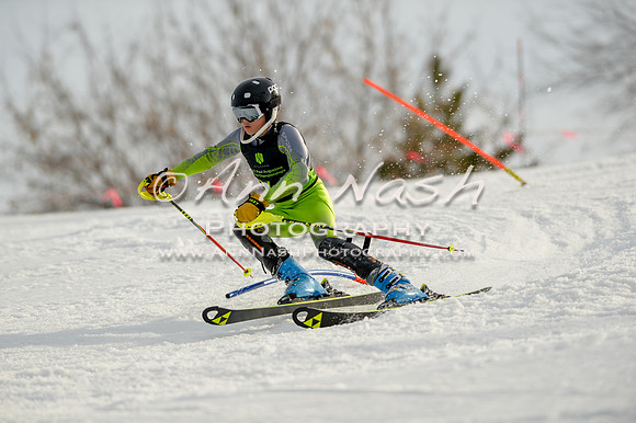 alpine-Feb19-2017-DSC_1403