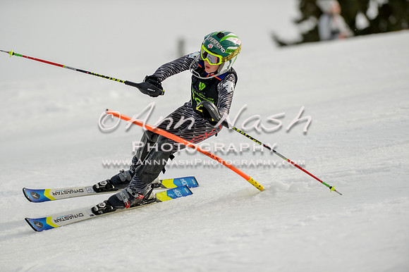 alpine-Feb19-2017-DSC_0866