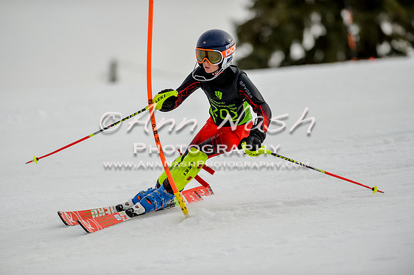 alpine-Feb19-2017-DSC_0627