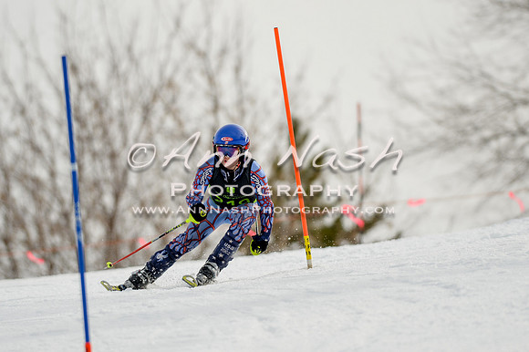 alpine-Feb19-2017-DSC_0391