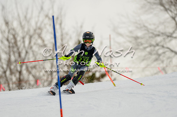 alpine-Feb19-2017-DSC_0612