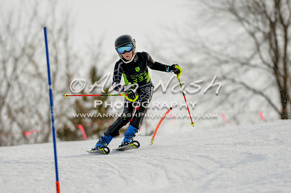 alpine-Feb19-2017-DSC_1177