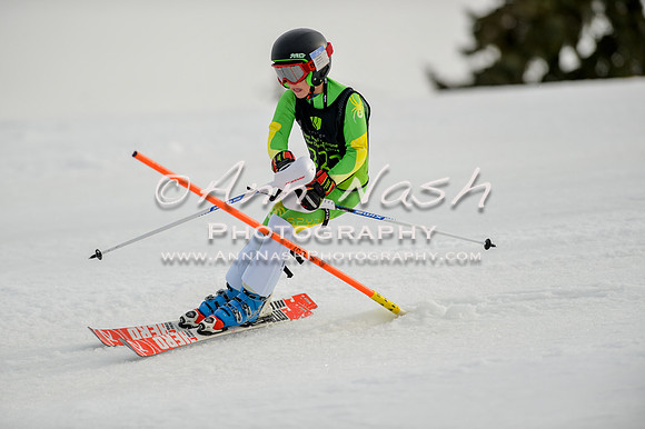 alpine-Feb19-2017-DSC_0773