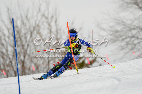 alpine-Feb19-2017-DSC_0305