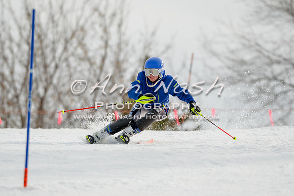 alpine-Feb19-2017-DSC_0246