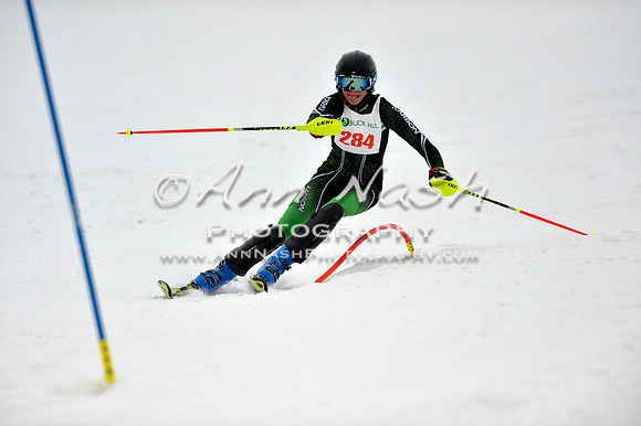 alpine_2015-01-22_12-17-57_DSC_1493_©AnnNashPhotographyLLC_2015