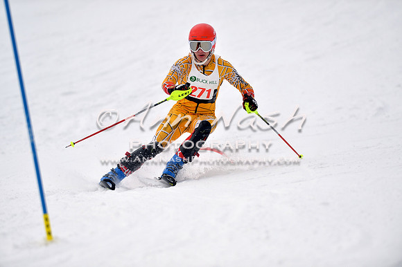 alpine_2015-01-22_11-40-41_DSC_0255_©AnnNashPhotographyLLC_2015