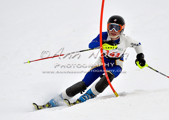 alpine_2015-01-22_12-10-50_DSC_1275_©AnnNashPhotographyLLC_2015