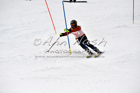 alpine_2015-01-22_12-52-44_DSC_2493_©AnnNashPhotographyLLC_2015