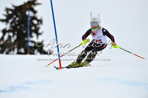 alpine_2015-02-14_12-59-18_DSC_7767_©AnnNashPhotographyLLC_2015