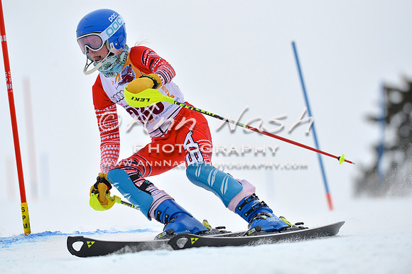 alpine_2015-02-14_13-35-36_DSC_8455_©AnnNashPhotographyLLC_2015