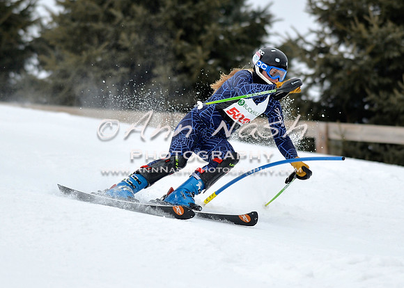 alpine_2015-01-22_12-01-12_DSC_0997_©AnnNashPhotographyLLC_2015