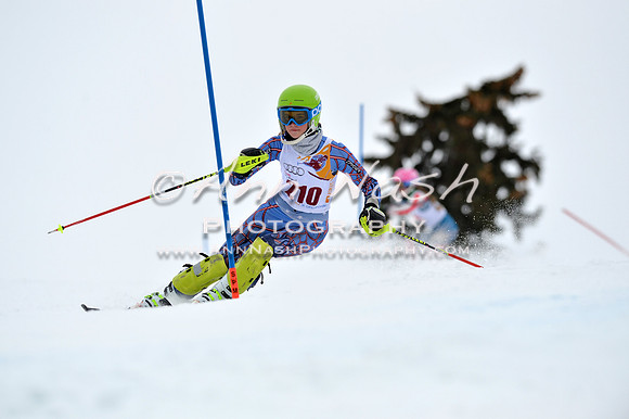 alpine_2015-02-14_13-31-17_DSC_8366_©AnnNashPhotographyLLC_2015