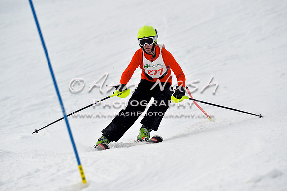 alpine_2015-01-22_12-53-14_DSC_2511_©AnnNashPhotographyLLC_2015