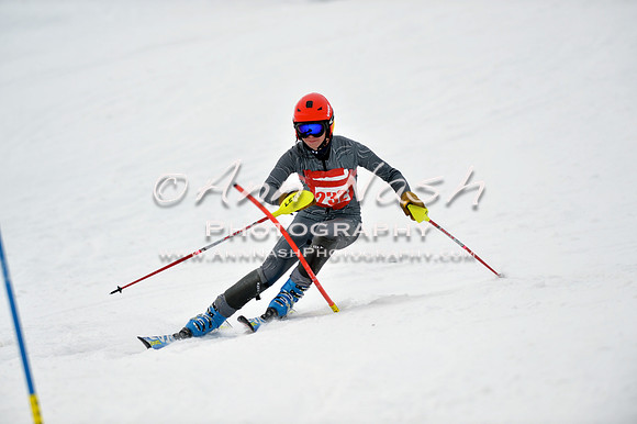 alpine_2015-01-22_11-48-54_DSC_0606_©AnnNashPhotographyLLC_2015