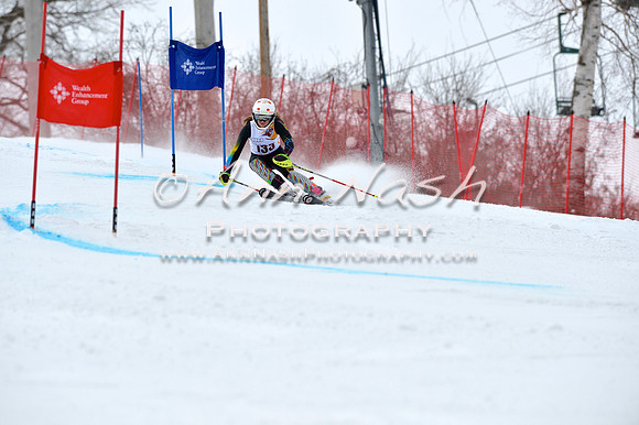 alpine_2015-02-14_10-43-10_DSC_6179_©AnnNashPhotographyLLC_2015