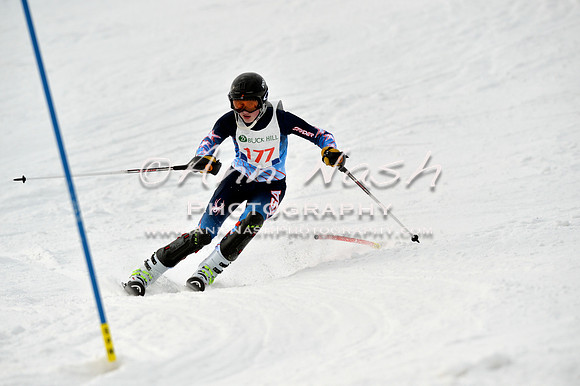 alpine_2015-01-22_12-49-17_DSC_2374_©AnnNashPhotographyLLC_2015