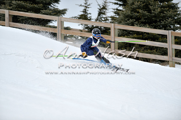 alpine_2015-01-22_12-01-14_DSC_1001_©AnnNashPhotographyLLC_2015