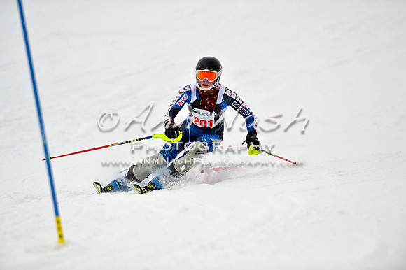 alpine_2015-01-22_11-36-22_DSC_0120_©AnnNashPhotographyLLC_2015