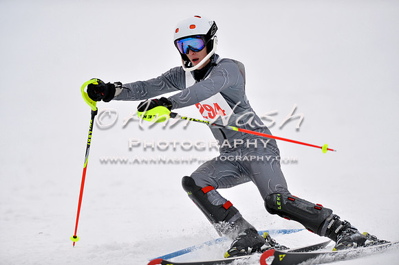 alpine_2015-01-22_12-18-42_DSC_1524_©AnnNashPhotographyLLC_2015