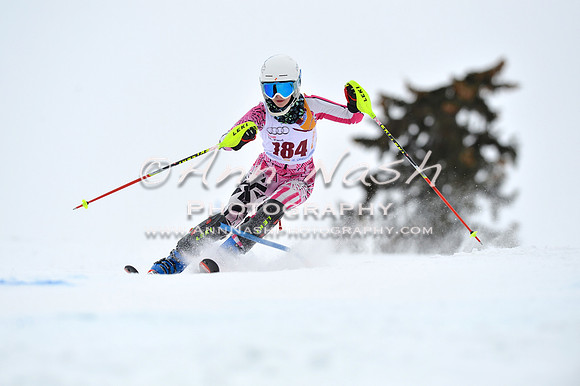 alpine_2015-02-14_13-37-42_DSC_8524_©AnnNashPhotographyLLC_2015