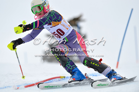 alpine_2015-02-14_12-48-09_DSC_7561_©AnnNashPhotographyLLC_2015