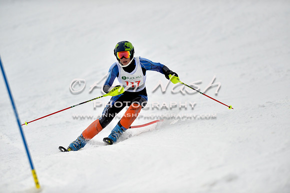alpine_2015-01-22_12-45-47_DSC_2267_©AnnNashPhotographyLLC_2015