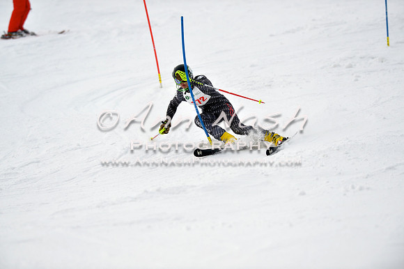 alpine_2015-01-22_11-45-55_DSC_0465_©AnnNashPhotographyLLC_2015