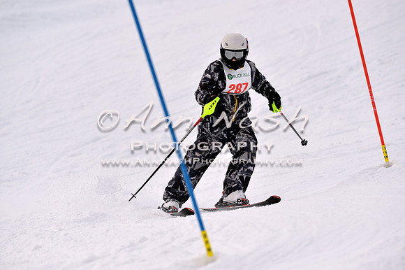 alpine_2015-01-22_12-53-40_DSC_2518_©AnnNashPhotographyLLC_2015
