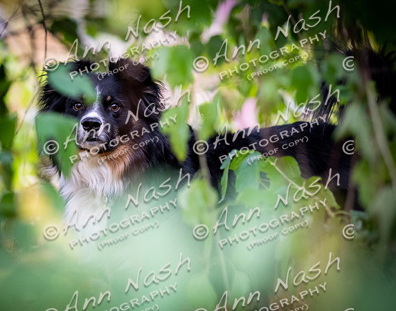 untitled-Oct-14-2024-DSC_0863-©ANP