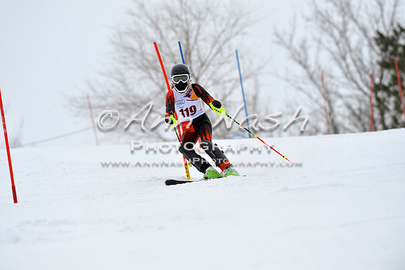 alpine_2015-02-14_13-21-19_DSC_8217_©AnnNashPhotographyLLC_2015