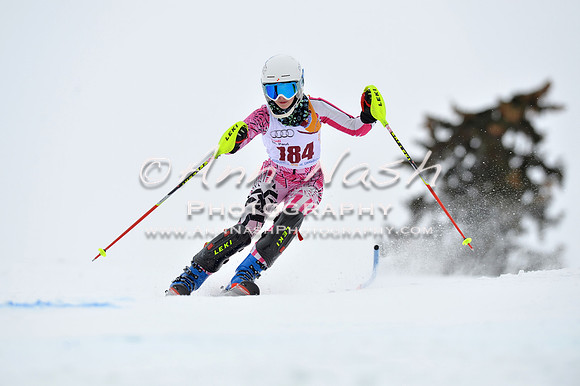 alpine_2015-02-14_13-37-42_DSC_8525_©AnnNashPhotographyLLC_2015