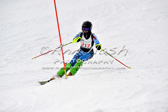 alpine_2015-01-22_12-51-22_DSC_2450_©AnnNashPhotographyLLC_2015