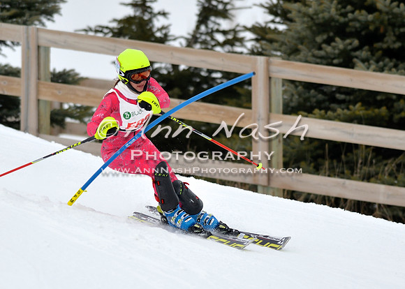 alpine_2015-01-22_11-52-49_DSC_0740_©AnnNashPhotographyLLC_2015
