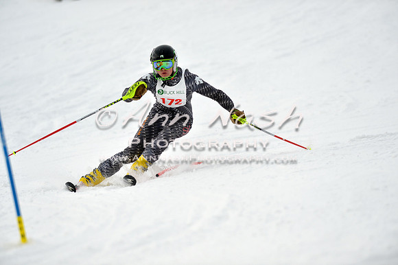 alpine_2015-01-22_11-45-56_DSC_0469_©AnnNashPhotographyLLC_2015