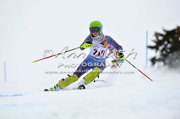 alpine_2015-02-14_13-31-17_DSC_8368_©AnnNashPhotographyLLC_2015
