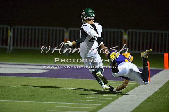MV vs Cretin Football_2014-09-11_20-56-31_DSC_1599_©AnnNashPhotographyLLC_2014