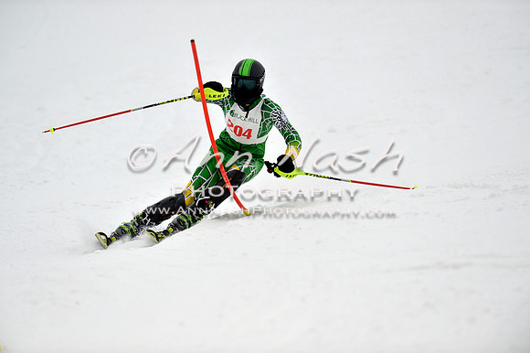 alpine_2015-01-22_12-13-55_DSC_1380_©AnnNashPhotographyLLC_2015