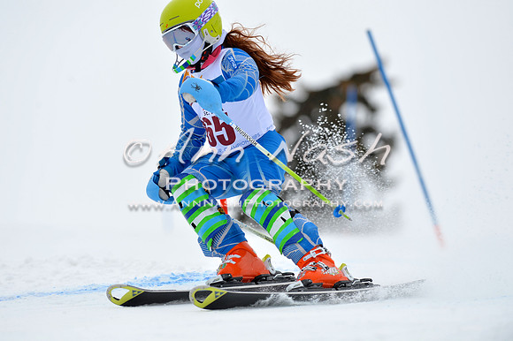 alpine_2015-02-14_12-56-00_DSC_7701_©AnnNashPhotographyLLC_2015
