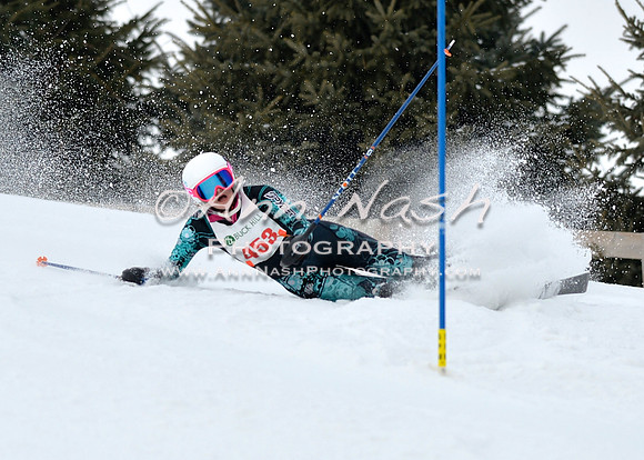 alpine_2015-01-22_11-56-34_DSC_0867_©AnnNashPhotographyLLC_2015